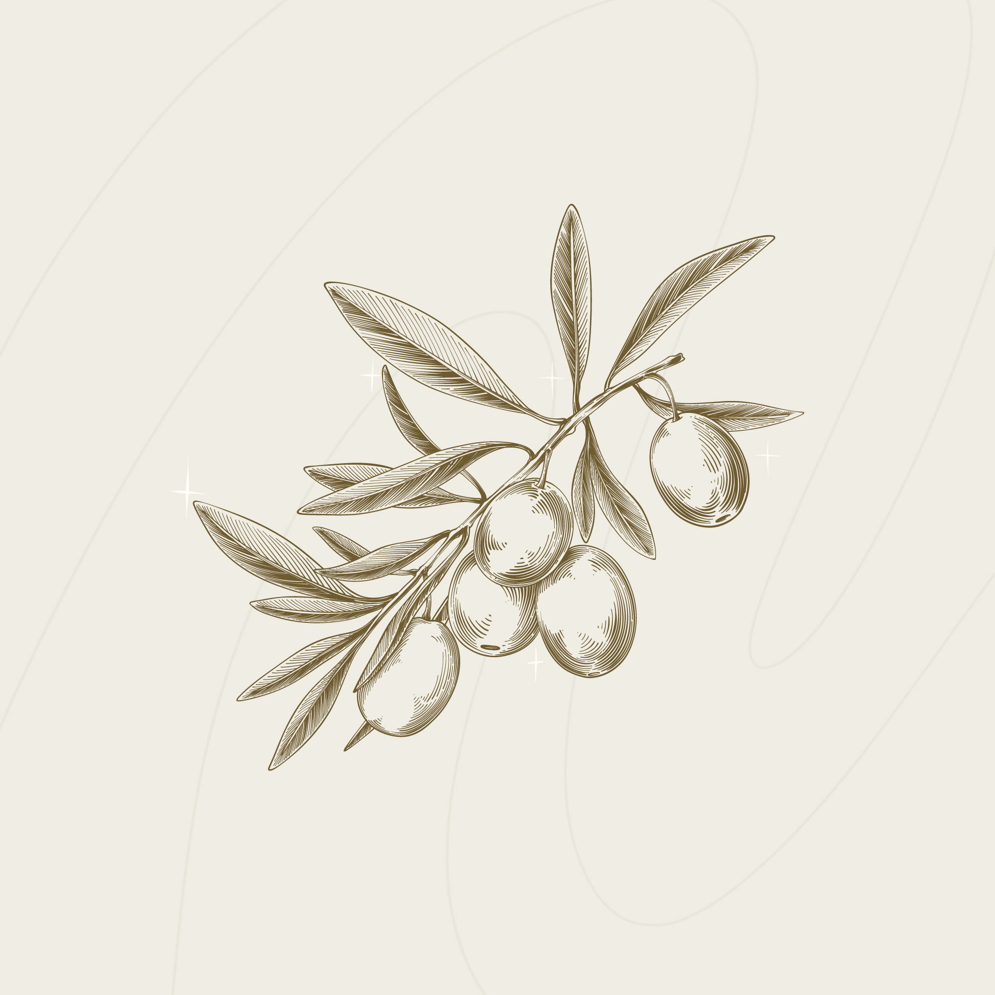 olivo