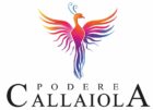 Logo podere callaiola